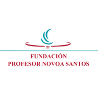 Logo de NOVOA SANTOS